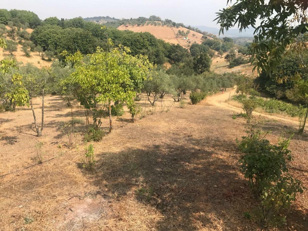 Casa Rural En 콘스탄티나 외부 사진