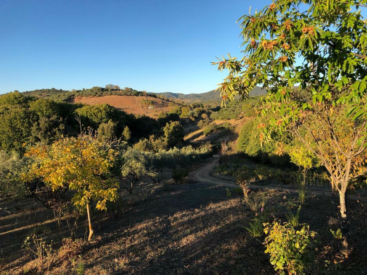 Casa Rural En 콘스탄티나 외부 사진
